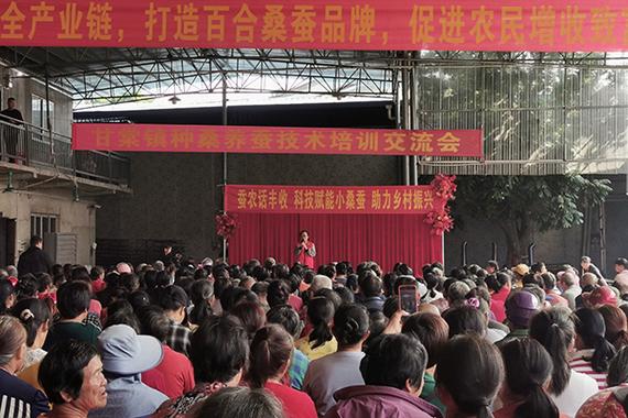 广西蚕业技术推广站科技特派员到宾阳县开展蚕桑技术服务活动
